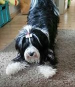 Fine, Alexandra Weinhold